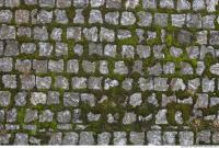floor stones mossy